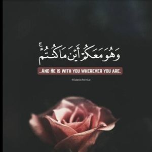 Meet your Posher, Leia